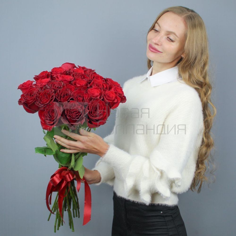 25 красных роз Премиум Эквадор 50-60 см.